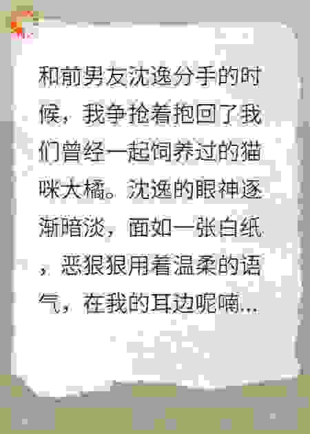 我的猫带回了我的前男友