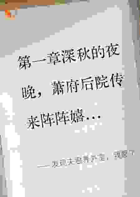 发现夫君养外室，我怒了