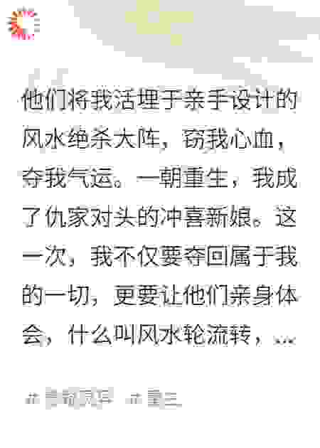 我以风水为刃，夺回被窃取的一切