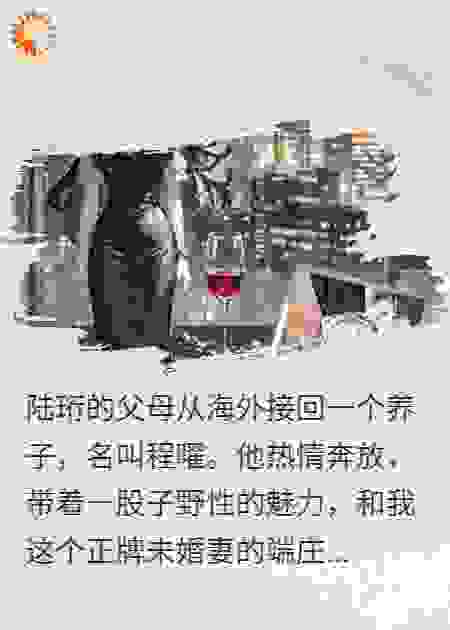他把传家宝送给了养子后，我执行了一系列计划