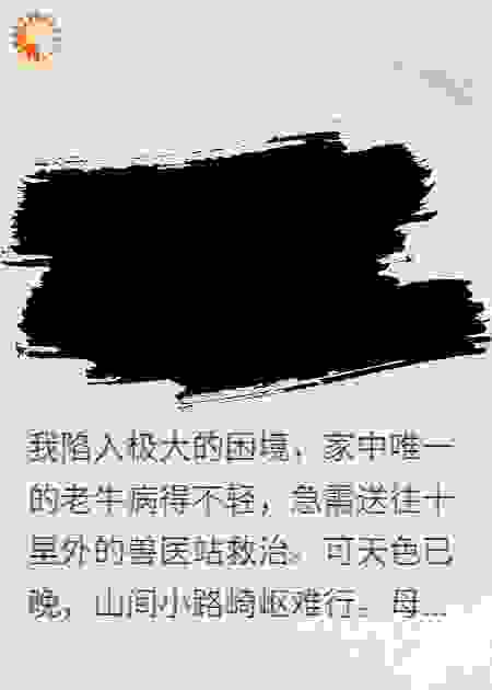 都灵之牛