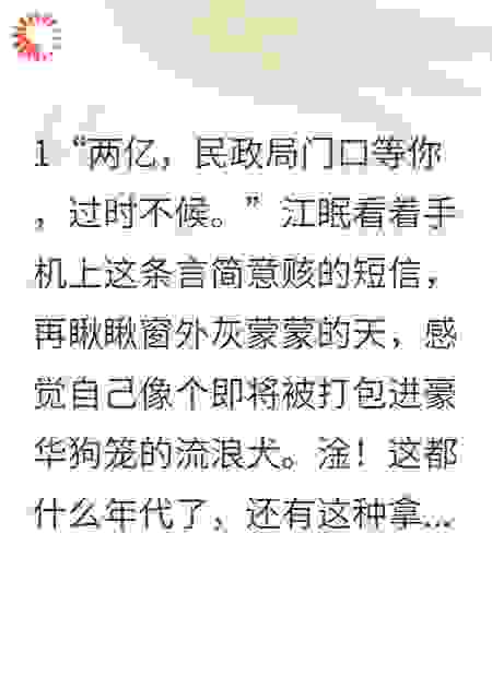 闪婚老公他有八百个心眼