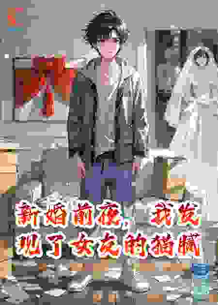 新婚前夜，我发现了女友的猫腻