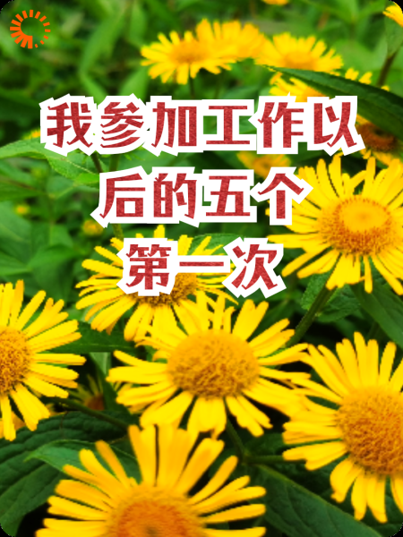 我参加工作以后的五个第一次