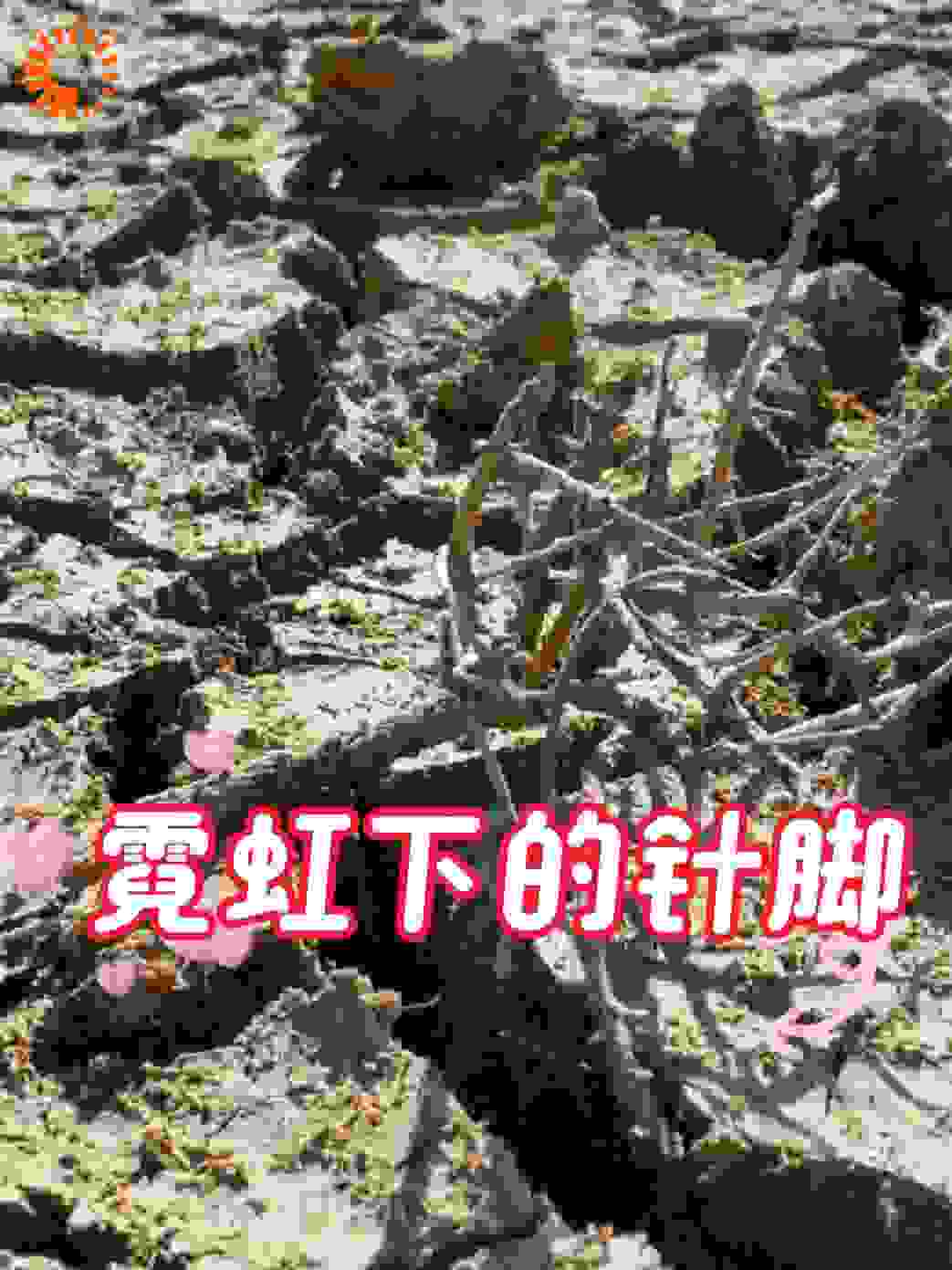 霓虹下的针脚