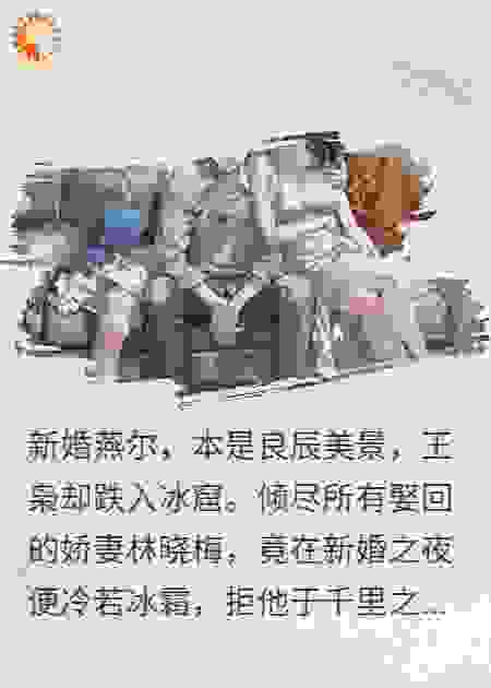 替身娇妻：小姨子的逆袭