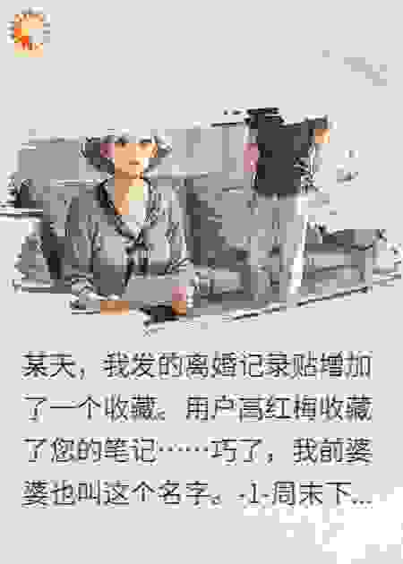 婆婆离婚大作战