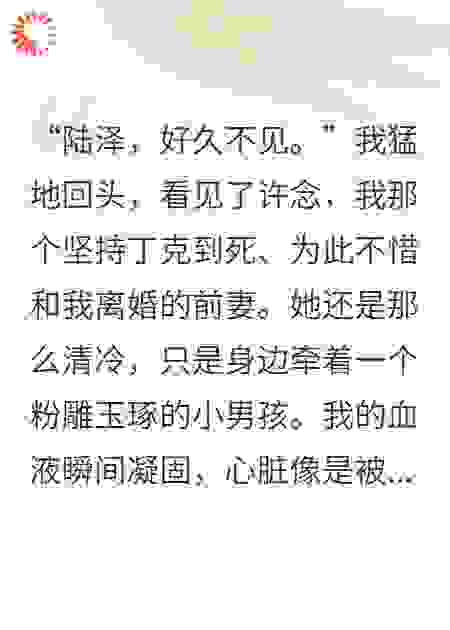 前妻丁克，五年后她儿子酷似我