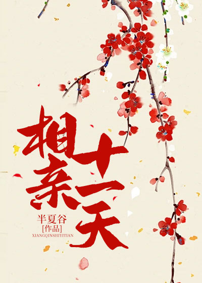 相亲十一天