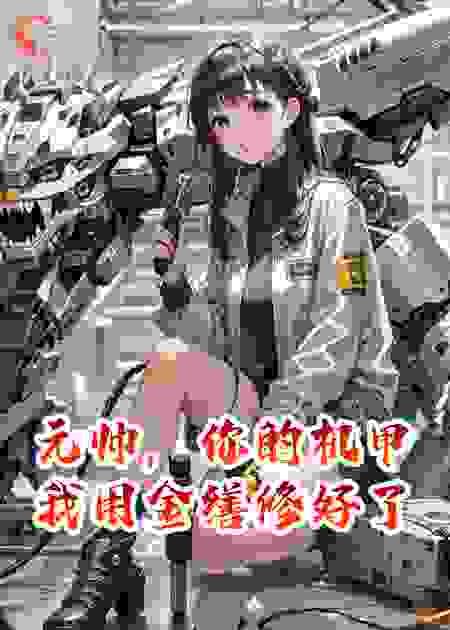 元帅，你的机甲我用金缮修好了