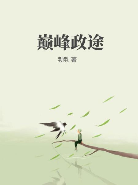 巅峰政途