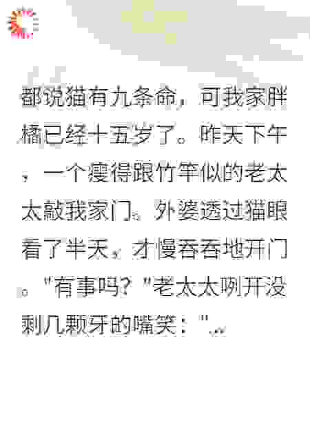 我家橘猫成精了