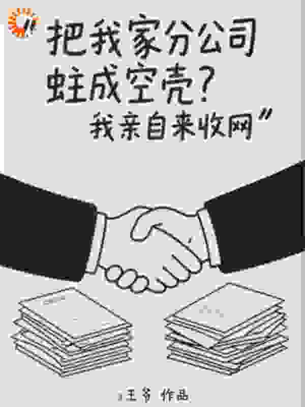 把我家分公司蛀成空壳？我亲自来收网