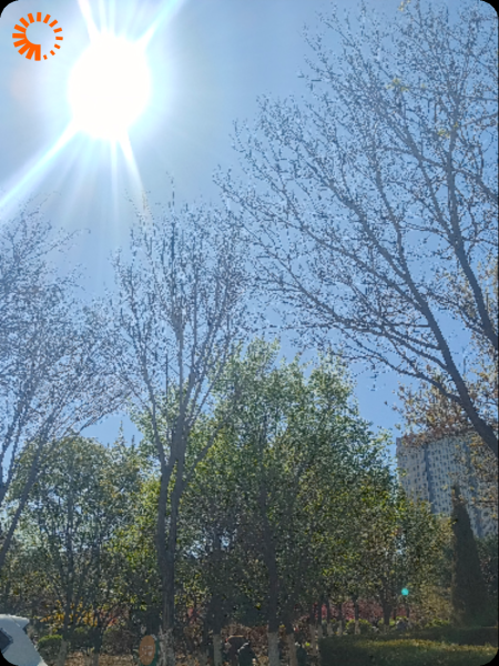 你若安好，清风自来