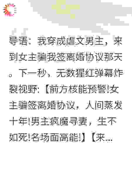离婚前，我发现老婆是国家机密
