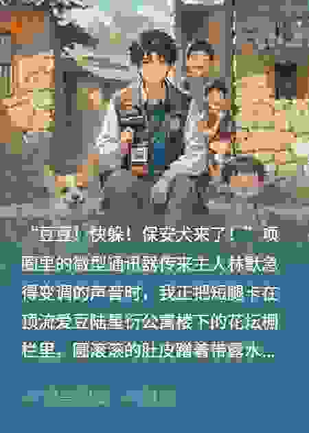 狗仔队豆豆的娱乐圈大冒险