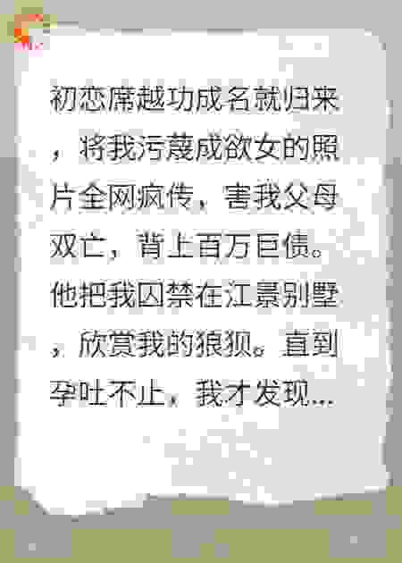 被网暴后，我怀了霸总的崽