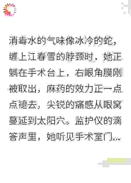 雪刃归眸：春雪复仇录