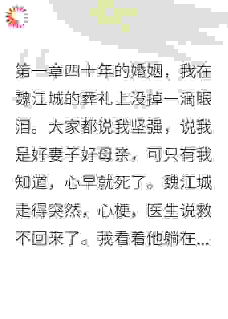 从替身妻子到书法大师