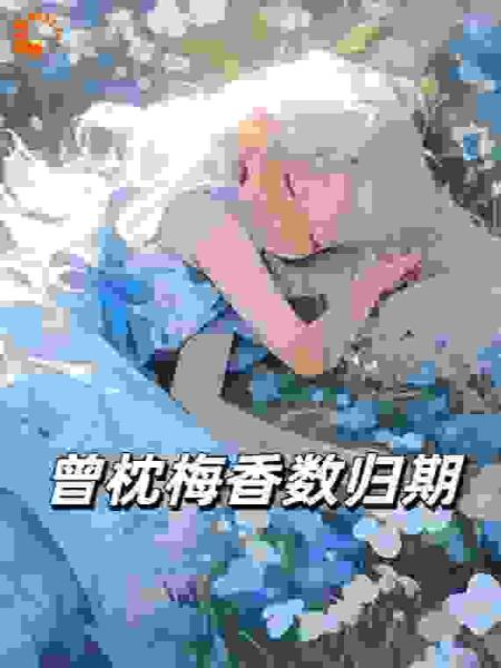 曾枕梅香数归期