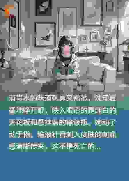 重生后，炮灰女配只想摆烂离婚