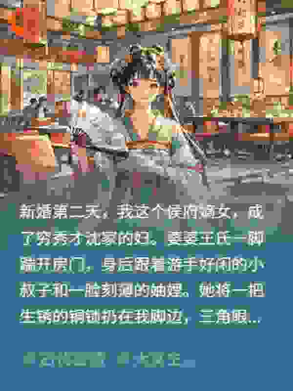 低嫁后我靠打脸婆家名动京城
