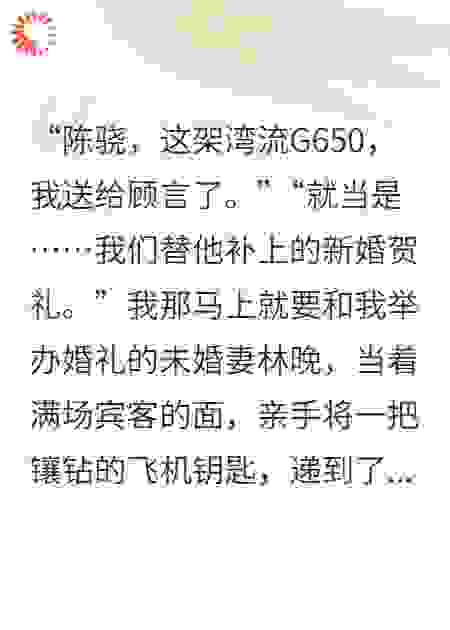 她把四亿飞机送白月光，我反手收购她全家公司