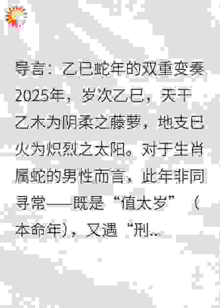 生肖蛇男性2025年运势详析