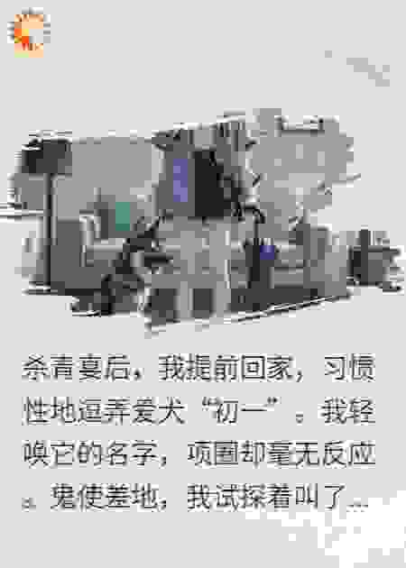 一条录音，我踹了总裁老公