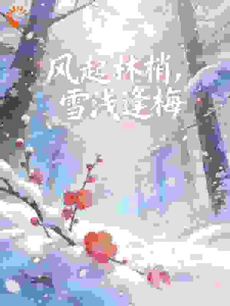风起林梢，雪浅逢梅