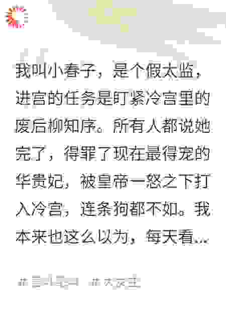 冷宫那位才是真老板