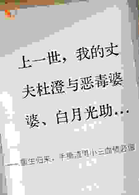 重生归来，手撕渣男小三血债必偿
