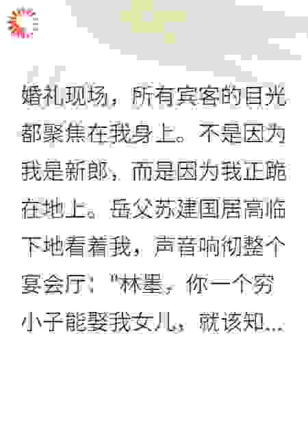 总裁隐身三年，岳父跪求原谅