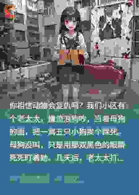 老太当着狗妈踩死狗崽，狗妈竟送老太上路