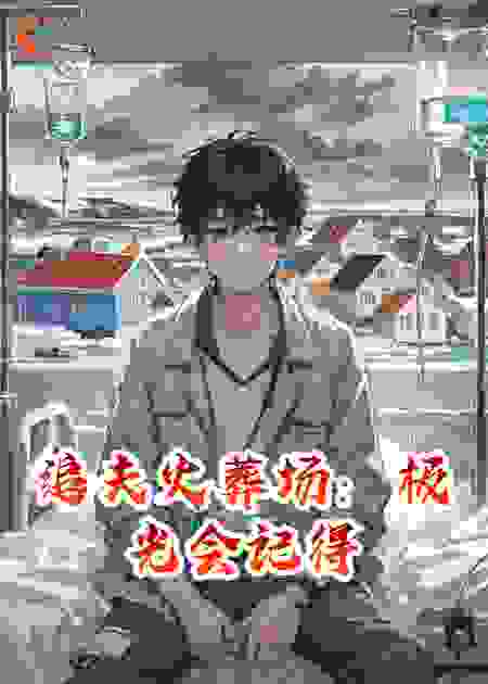 追夫火葬场：极光会记得