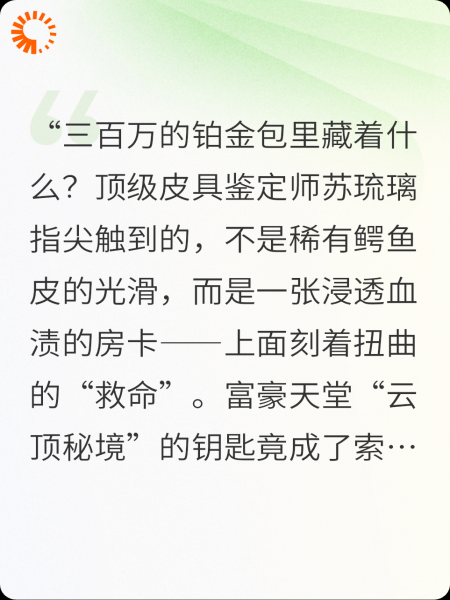 三百万奢侈包里的求救信号
