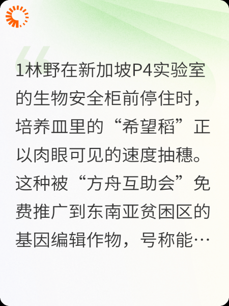 生化危机:恐怖组织发动的一场战争