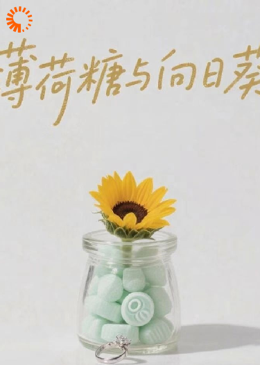 薄荷糖与向日葵