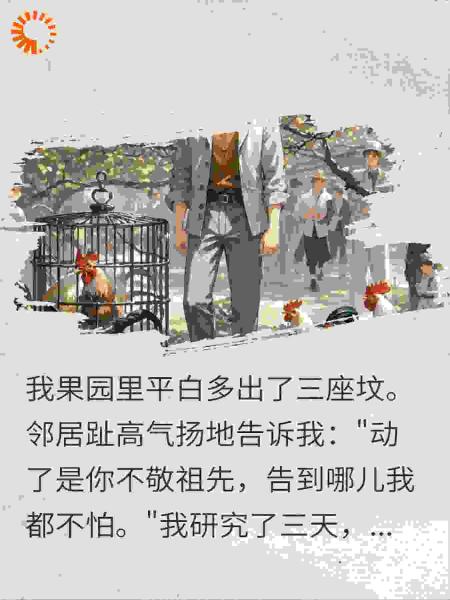 强占果园造祖坟，我当场买来40只大公鸡，邻居崩溃了