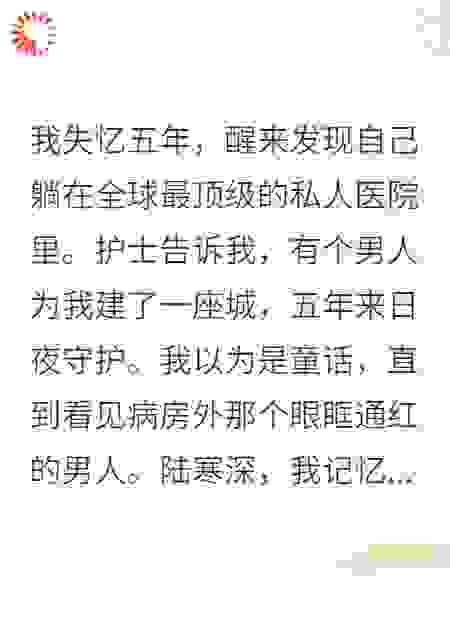失忆五年前夫为我建座城