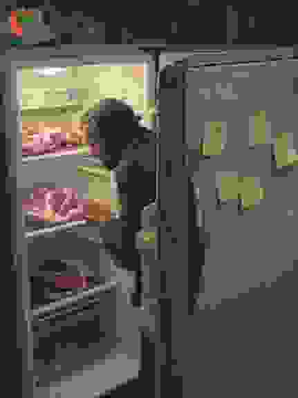 冰箱里的十二只手