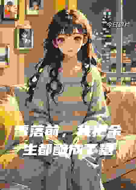 雪落前，我把余生都酿成了糖