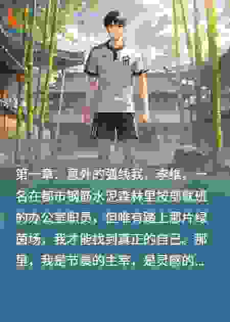 我在大宋踢足球