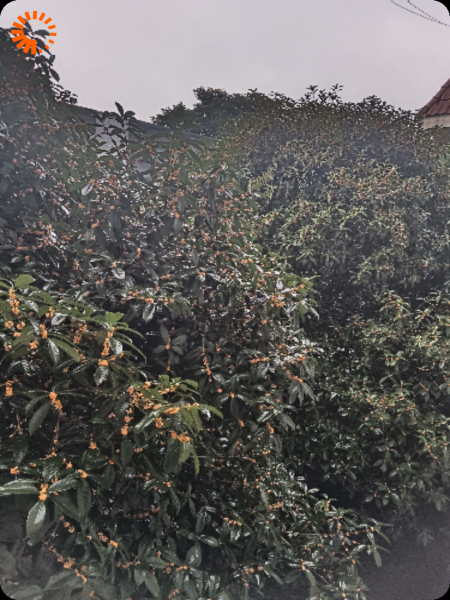 廖白猫好嗨哟