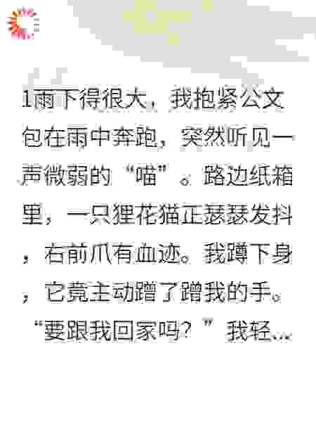 捡来的猫男友