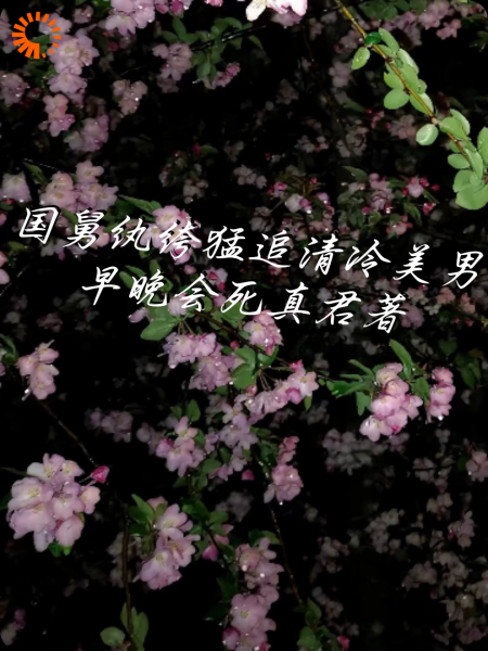 国舅纨绔猛追清冷美男