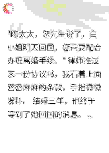 总裁老公为初恋让我配合演假离婚戏