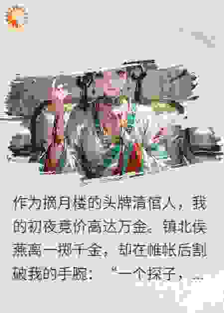 全江湖都想抢我当老婆