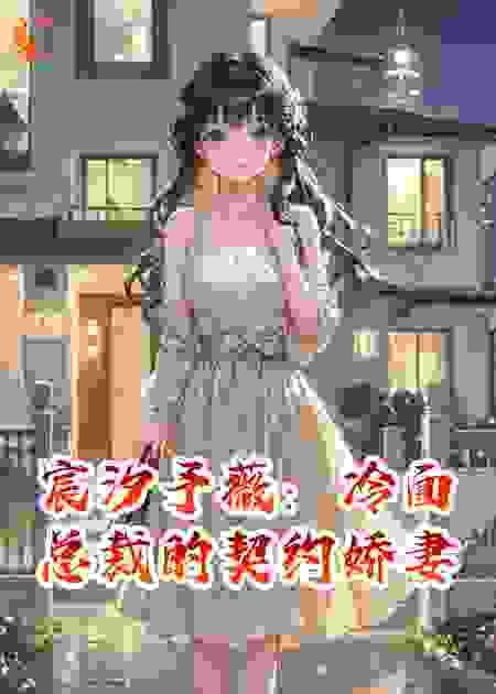 宸汐予薇：冷面总裁的契约娇妻