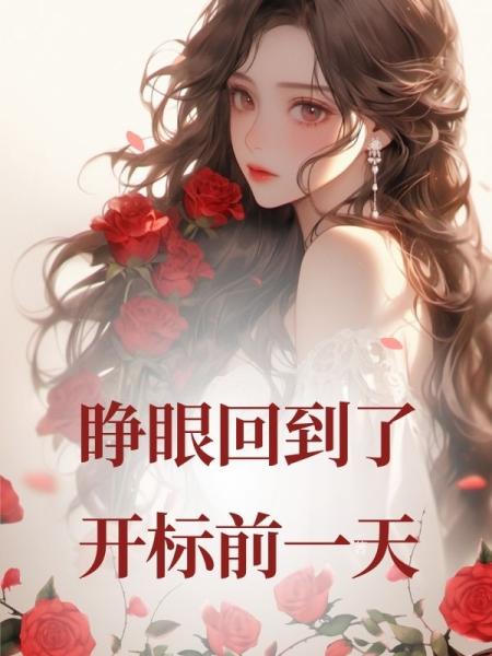 睁眼回到了开标前一天